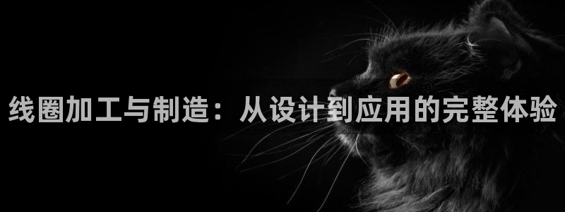 谈球吧体育app下载足球直播