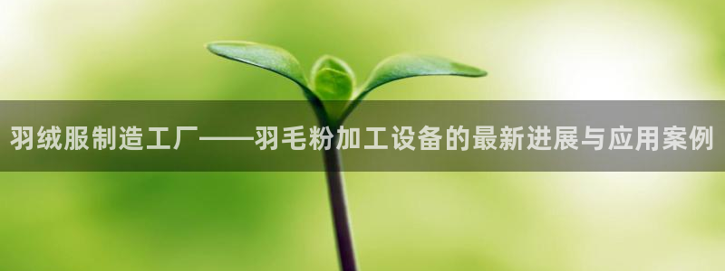 谈球吧平台app下载网址是什么