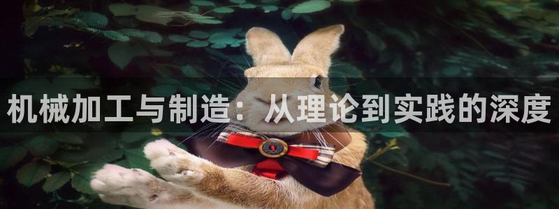 谈球吧体育app下载官网安卓
