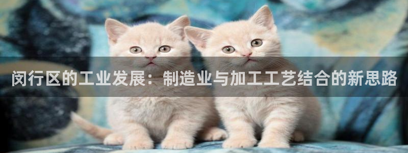 谈球吧官方网站