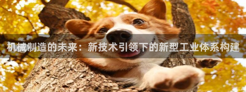 谈球吧官网在线入口手机版下载安装