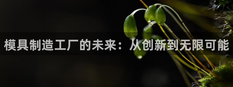 谈球吧官网在线入口手机版下载