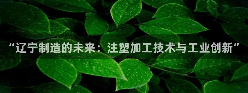 谈球吧体育官网在线入口