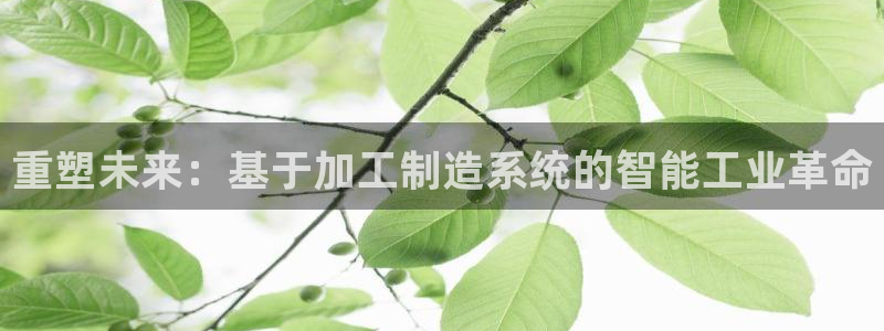 谈球吧体育官网在线入口