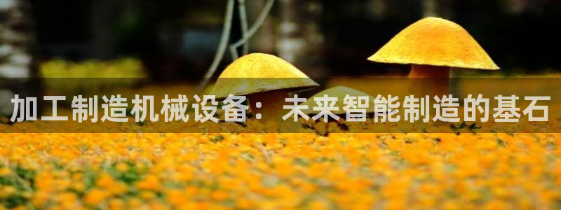 谈球吧App