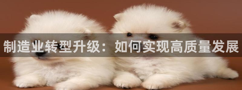 谈球吧平台正规吗可信吗安全吗