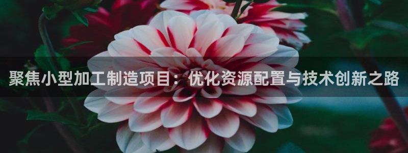 谈球吧平台app下载网址