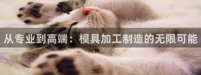 谈球吧APP开元