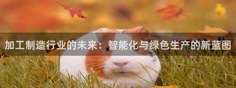 谈球吧中国