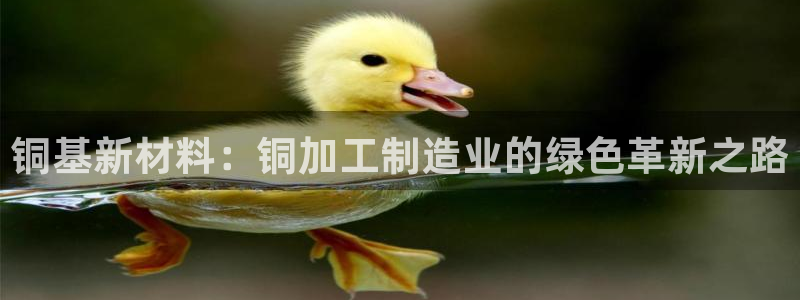 谈球吧体育app下载中心官网苹果