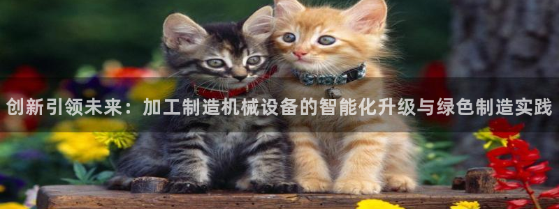 谈球吧官网在线入口免费观看
