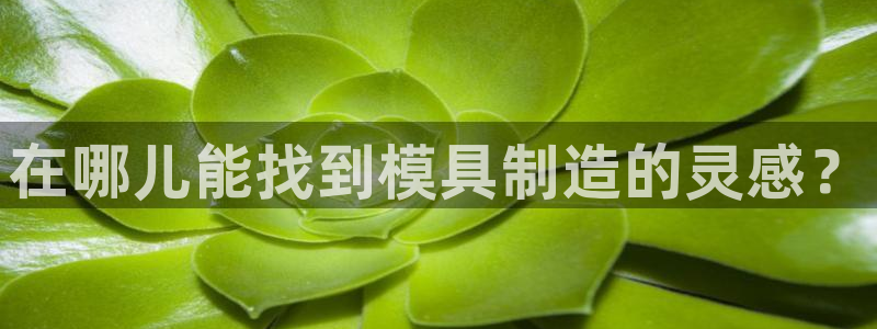 谈球吧体育app下载官网苹果