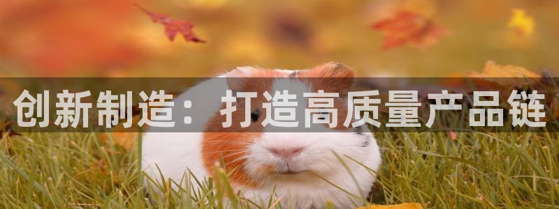 谈球吧官网app下载